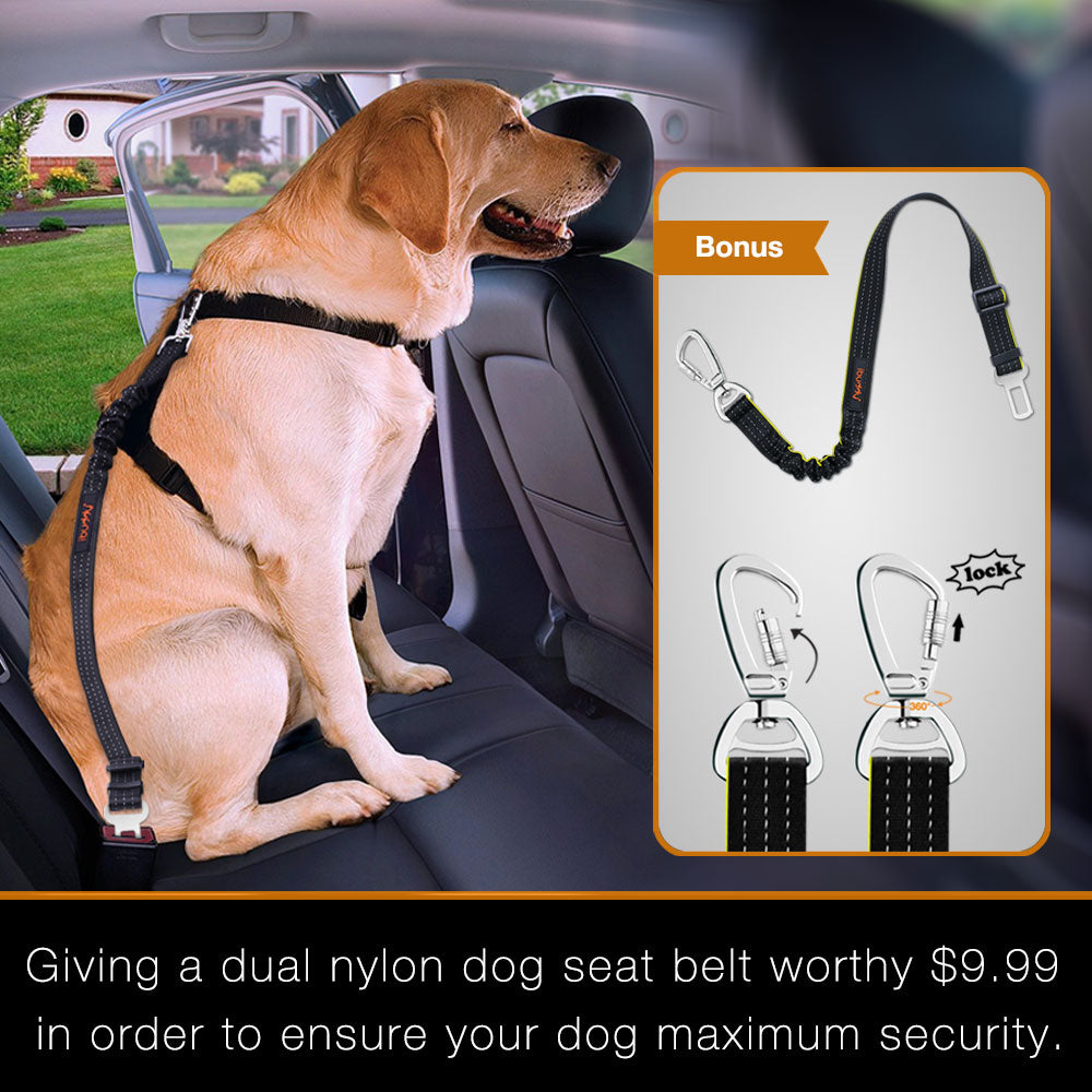 iBuddy Dog Seat Cover for Back Seat with Mesh Window for Cars and SUVs