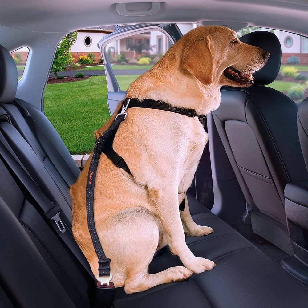 iBuddy Adjustable Dog Car Seat Belts With Dual Safe Bolt Hook for Medium/Large Dogs