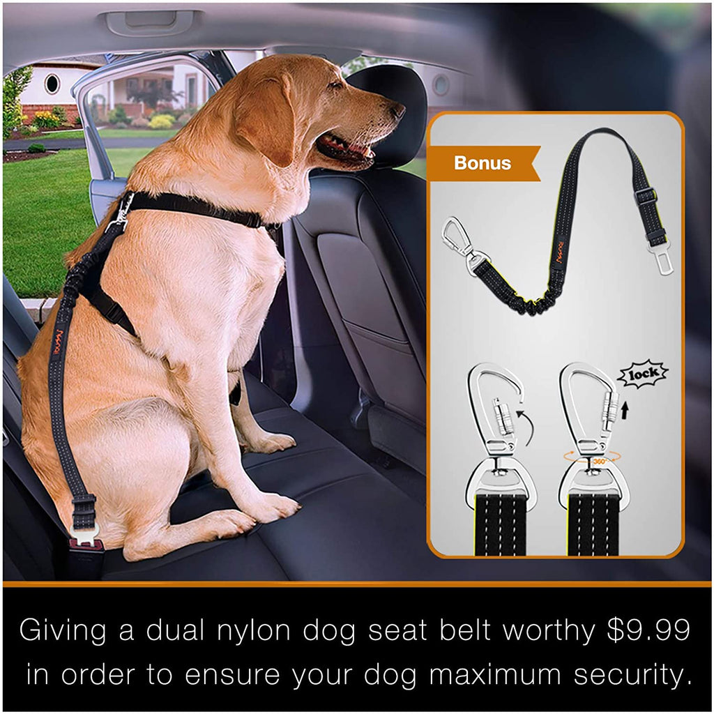 Dog Seat Covers for Backseat Car Hammock for Dogs Waterproof Mesh Window Dogs  Car Seat Protector Cover for Back Seat Pet Car Seat Cover Dogs Hammock for  SUVs/ Trucks