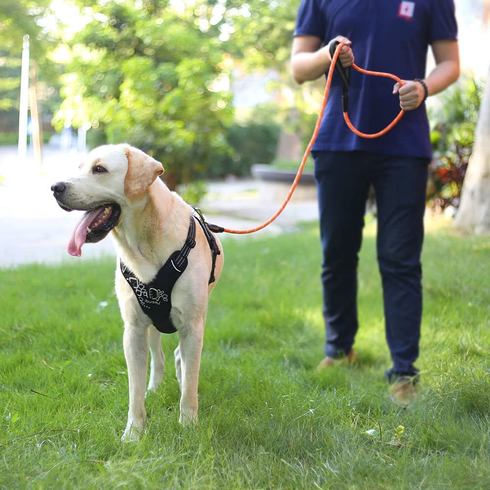 iBuddy Heavy Duty Dog Leashes for Medium and Large Dogs